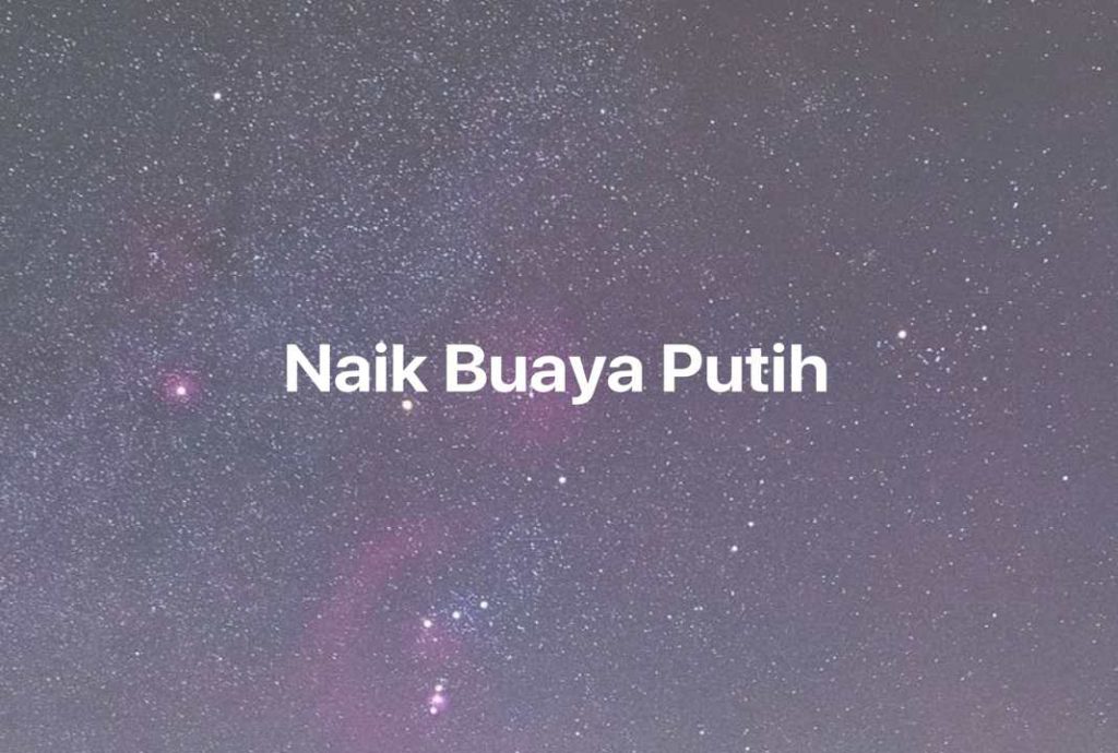 Gambar Mimpi Naik Buaya Putih