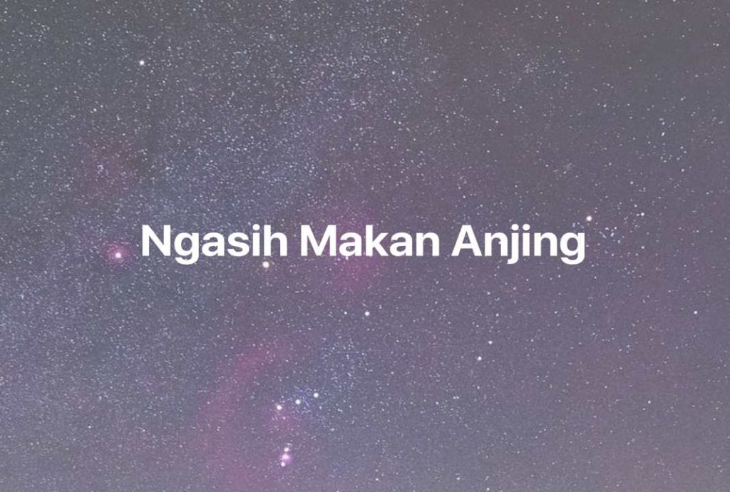 Gambar Mimpi Ngasih Makan Anjing