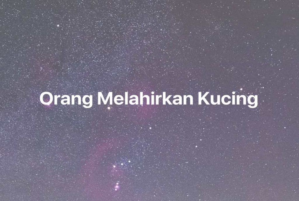 Gambar Mimpi Orang Melahirkan Kucing