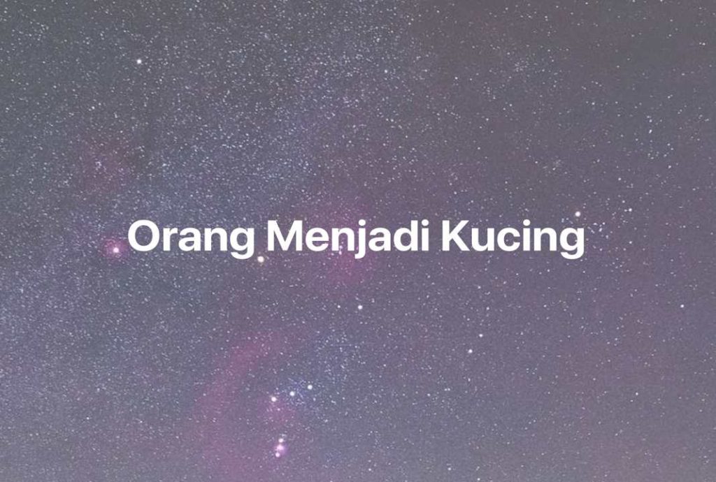 Gambar Mimpi Orang Menjadi Kucing