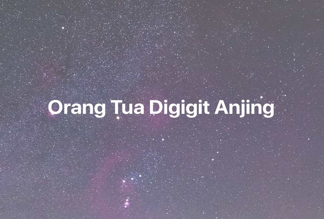 Gambar Mimpi Orang Tua Digigit Anjing