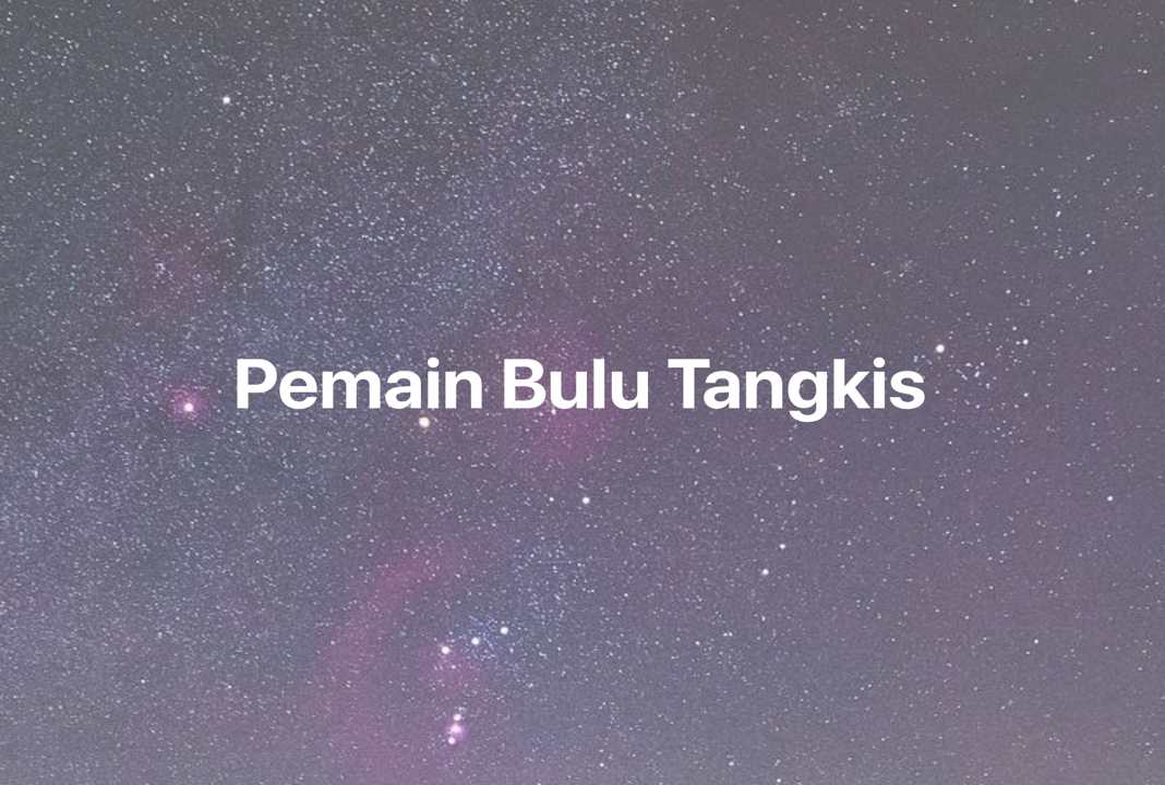 Gambar Mimpi Pemain Bulu Tangkis