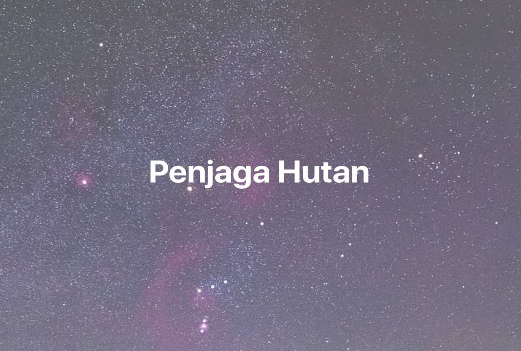 Gambar Mimpi Penjaga Hutan