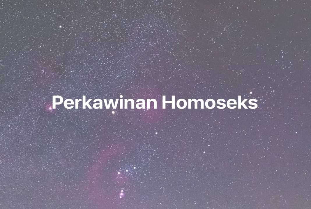 Gambar Mimpi Perkawinan Homoseks