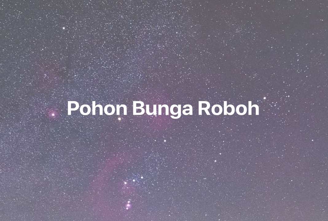 Gambar Mimpi Pohon Bunga Roboh