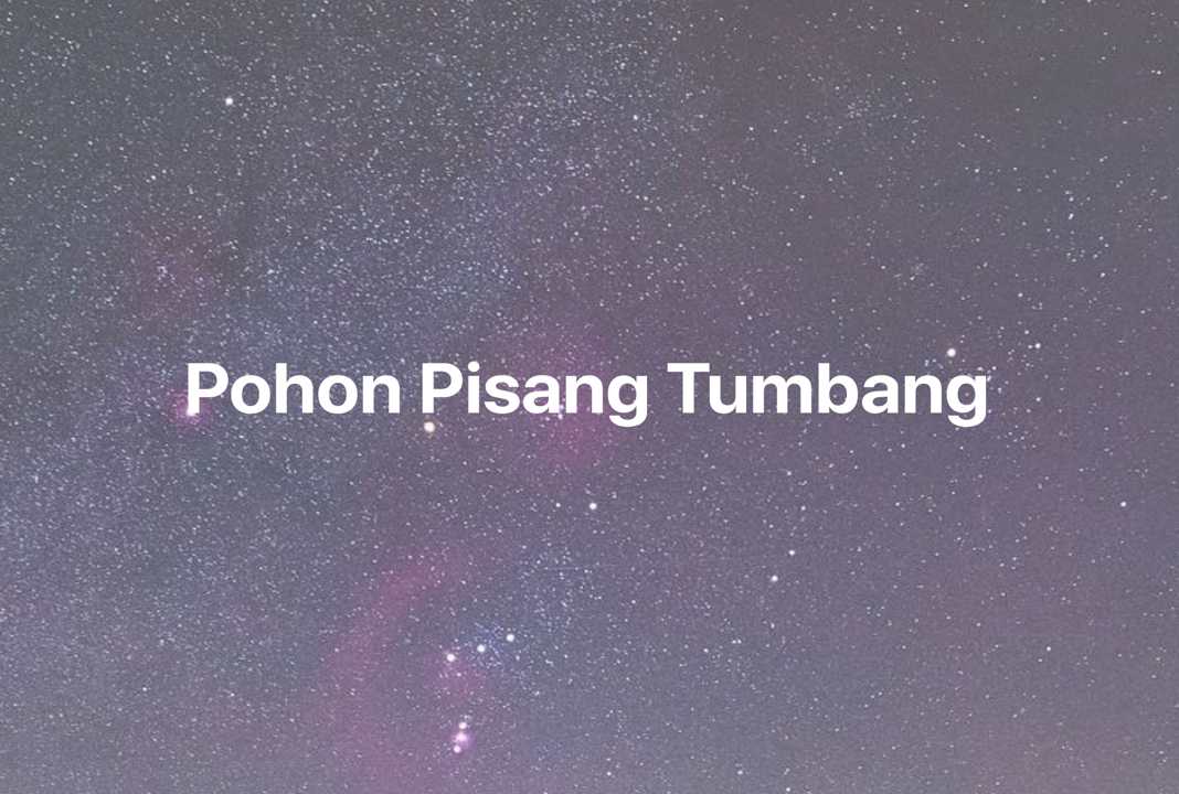 Gambar Mimpi Pohon Pisang Tumbang