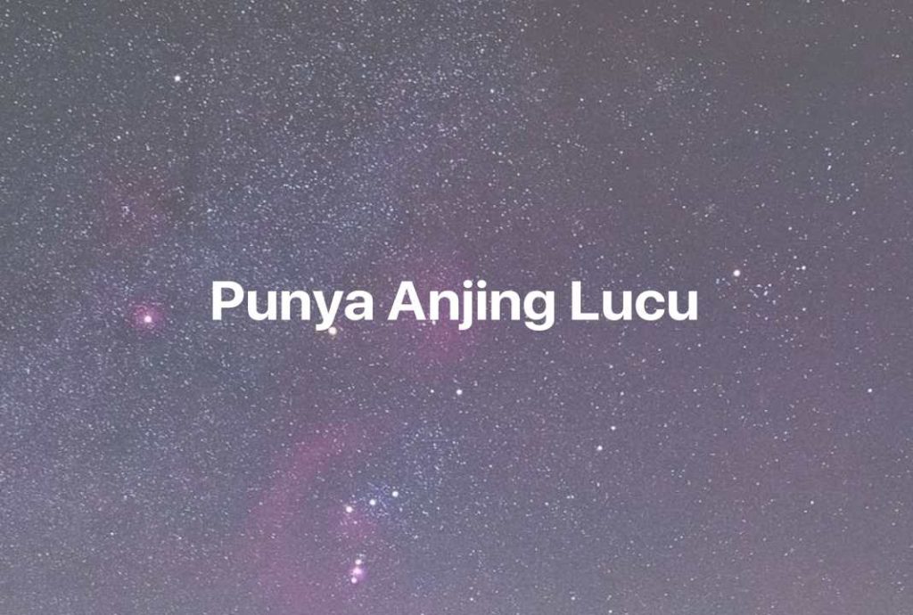 Gambar Mimpi Punya Anjing Lucu