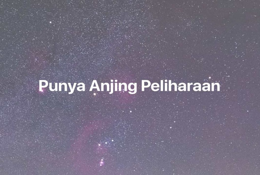 Gambar Mimpi Punya Anjing Peliharaan