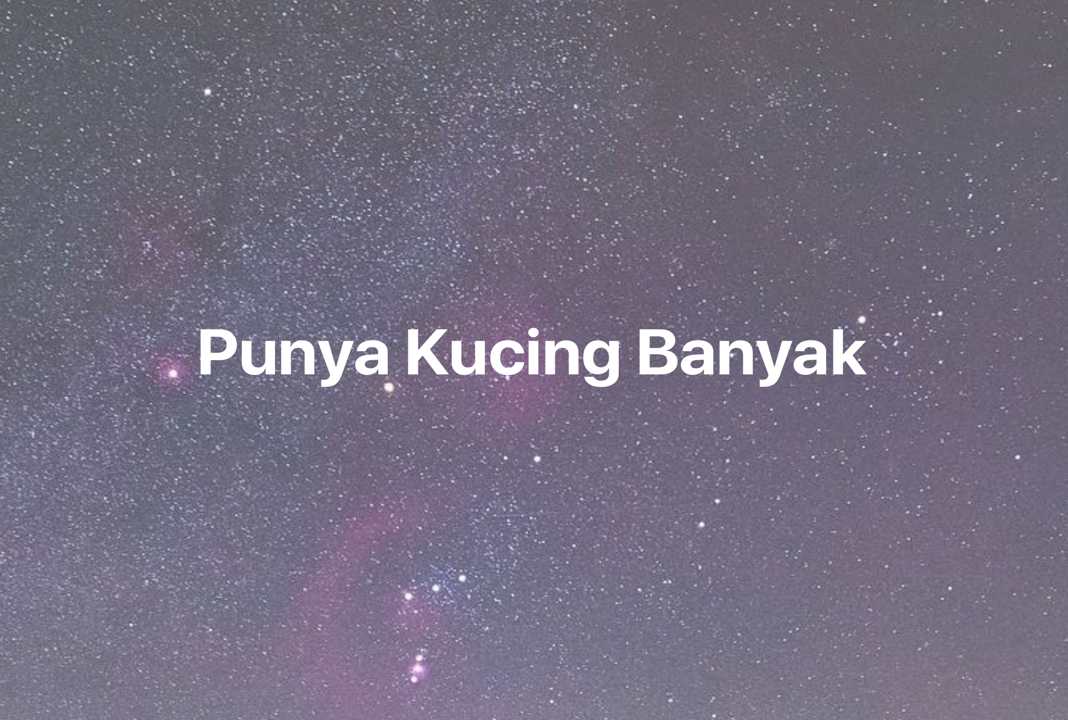 Gambar Mimpi Punya Kucing Banyak