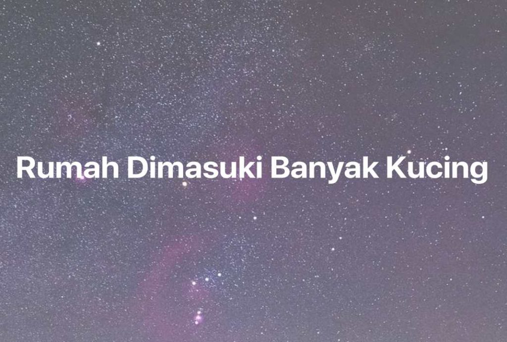 Gambar Mimpi Rumah Dimasuki Banyak Kucing