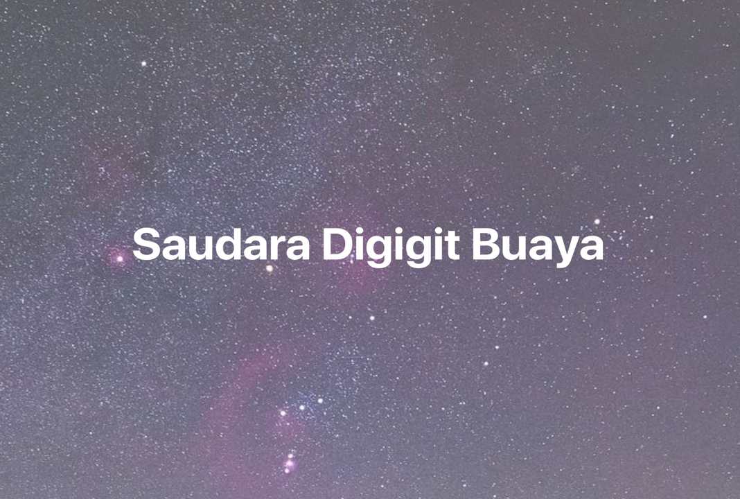 Gambar Mimpi Saudara Digigit Buaya