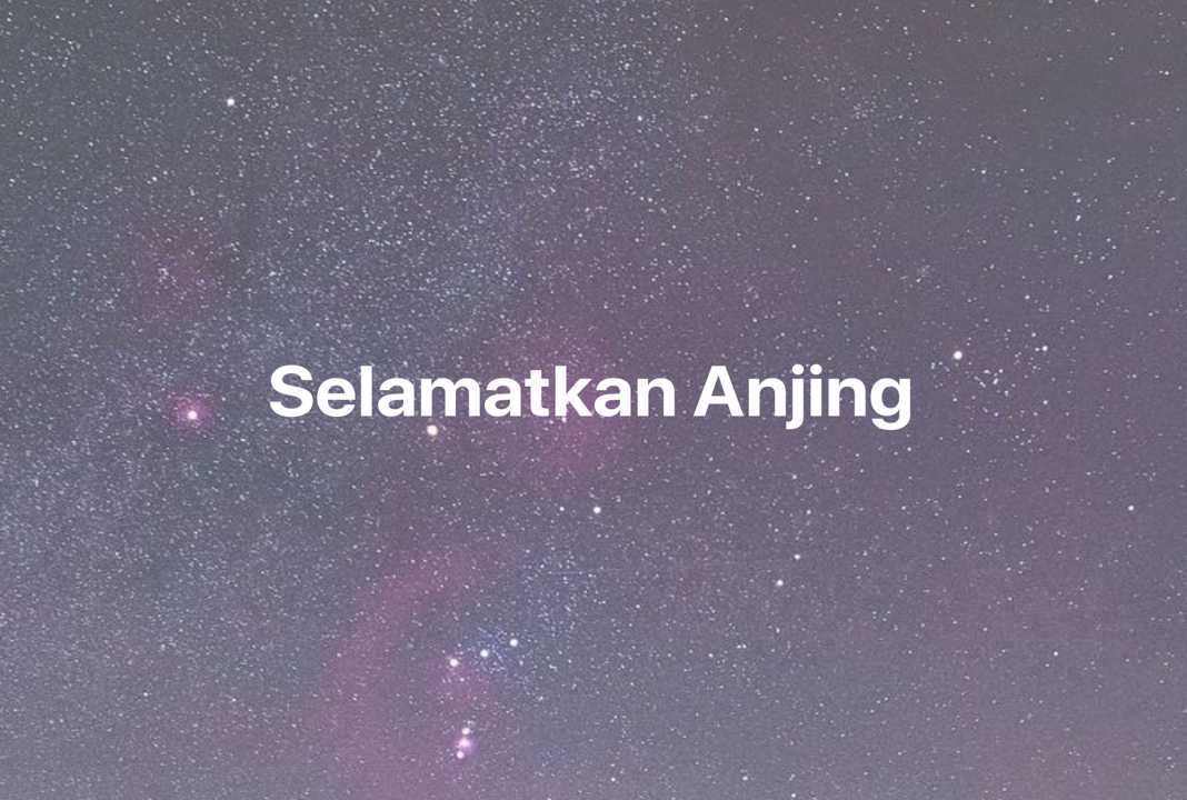 Gambar Mimpi Selamatkan Anjing