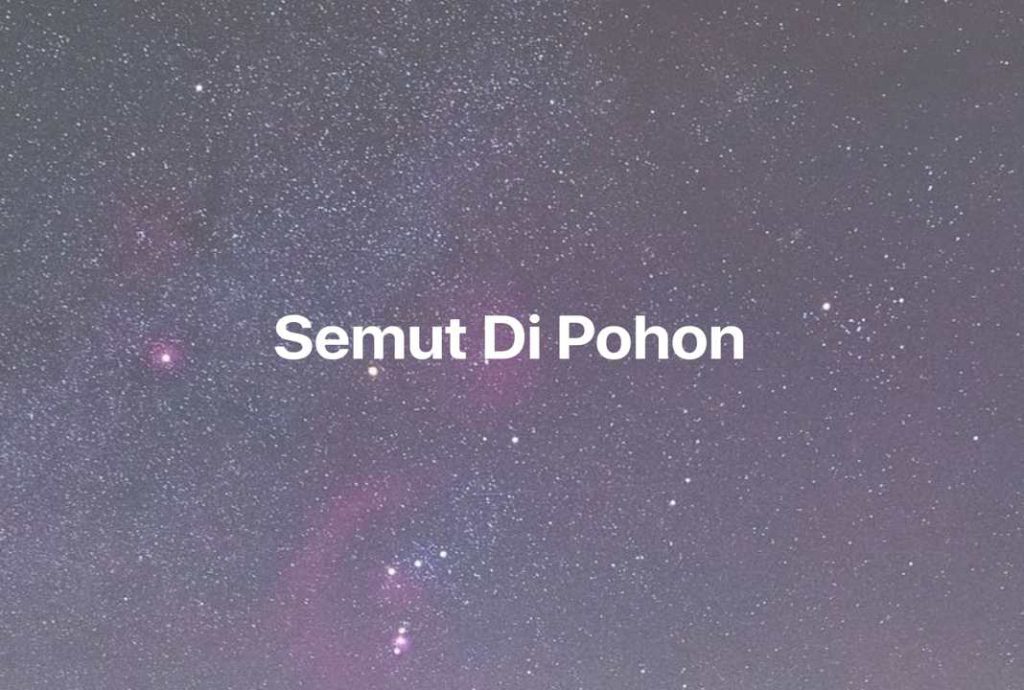 Gambar Mimpi Semut Di Pohon