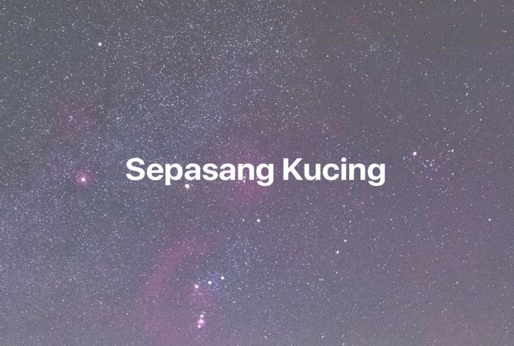 Gambar Mimpi Sepasang Kucing