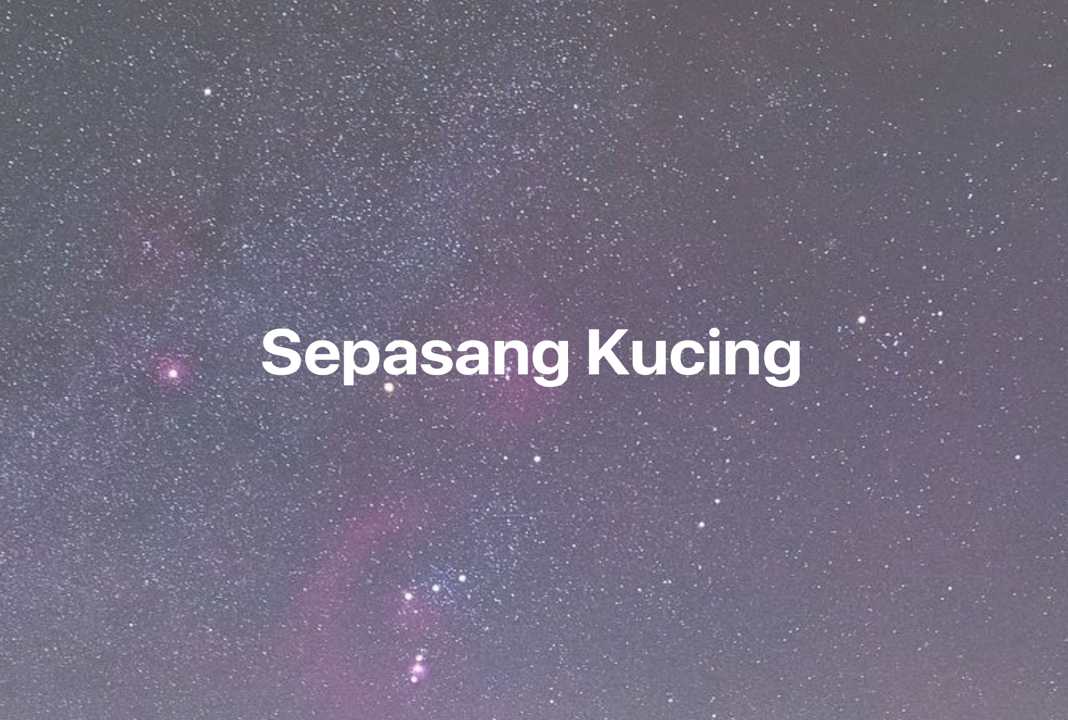 Gambar Mimpi Sepasang Kucing