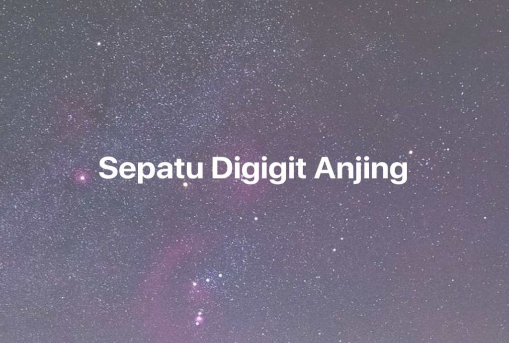 Gambar Mimpi Sepatu Digigit Anjing