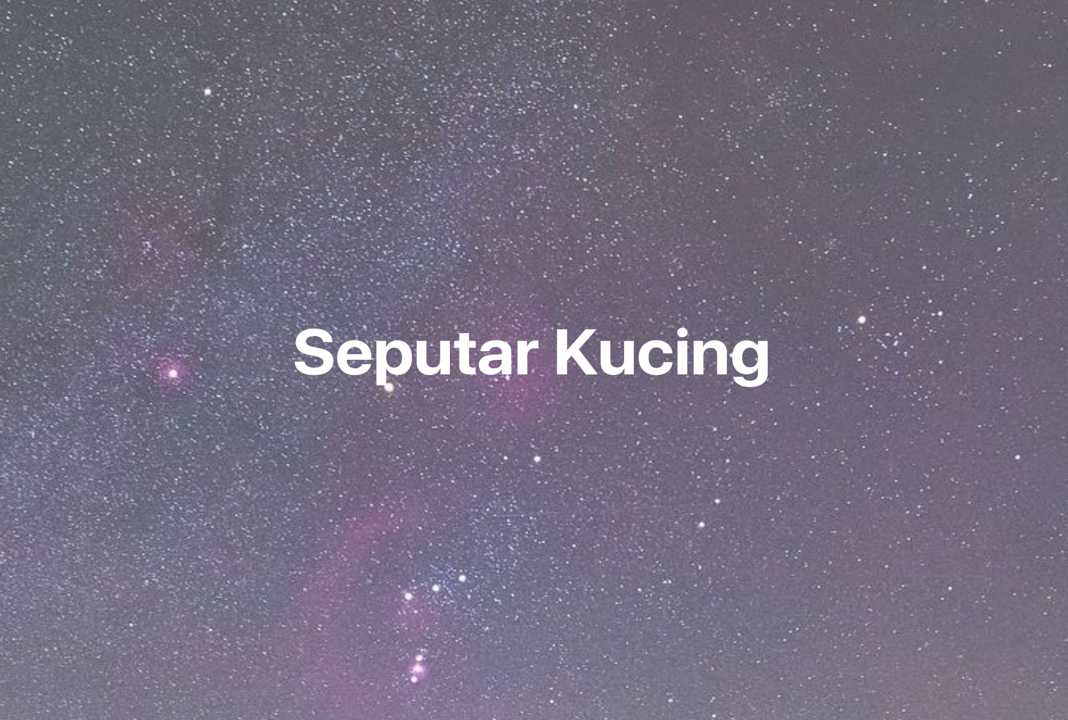 Gambar Mimpi Seputar Kucing