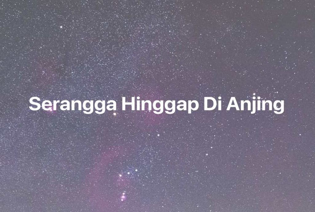 Gambar Mimpi Serangga Hinggap Di Anjing