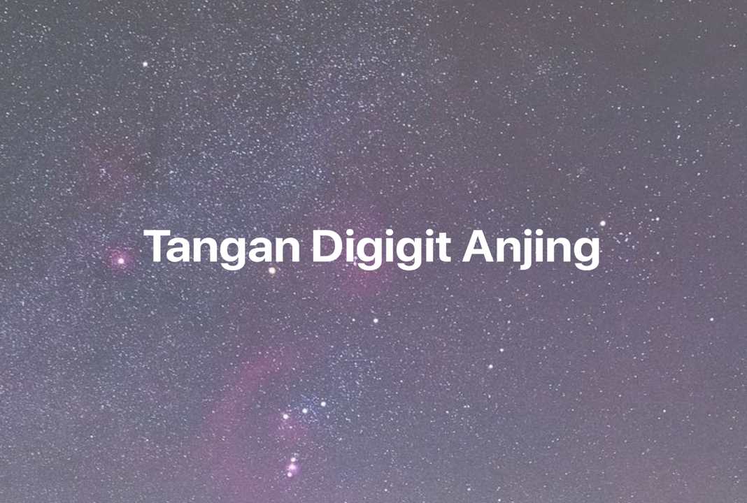 Gambar Mimpi Tangan Digigit Anjing