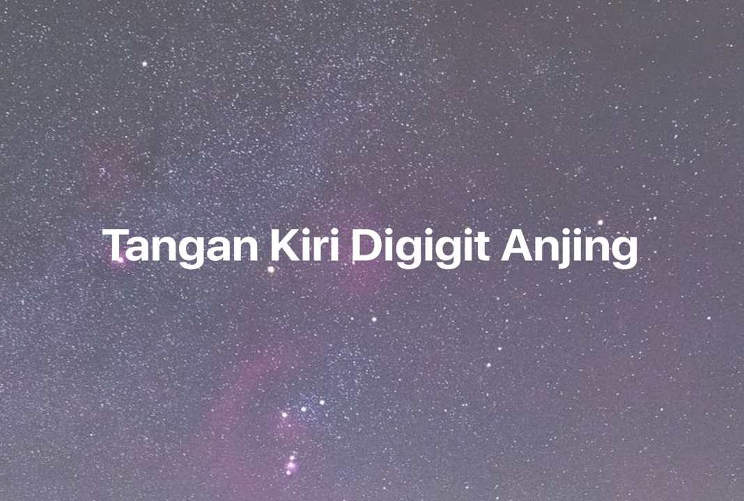 Gambar Mimpi Tangan Kiri Digigit Anjing