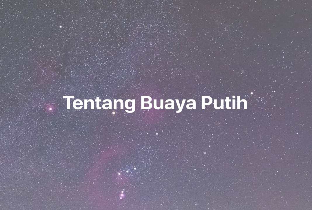 Gambar Mimpi Tentang Buaya Putih