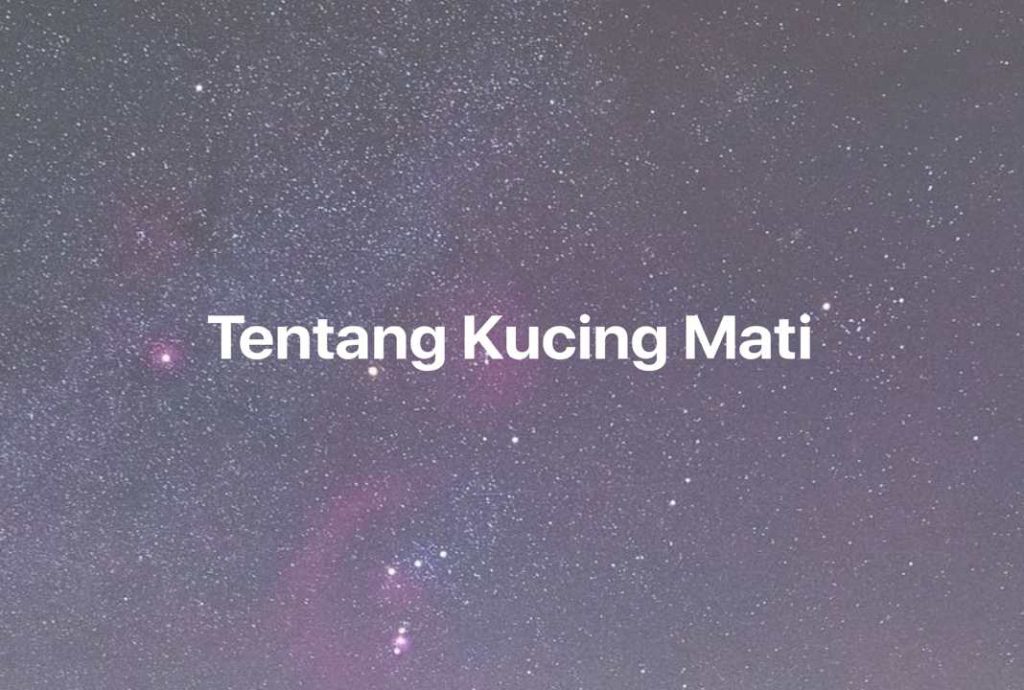 Gambar Mimpi Tentang Kucing Mati