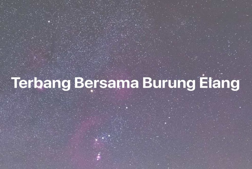 Gambar Mimpi Terbang Bersama Burung Elang