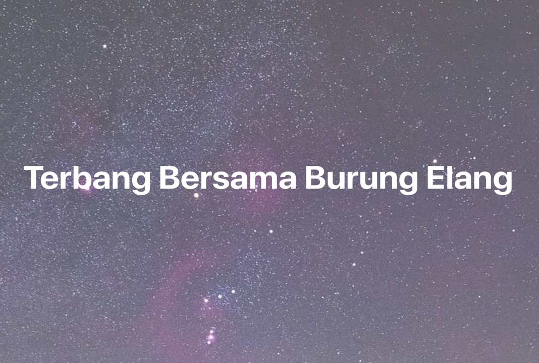 Gambar Mimpi Terbang Bersama Burung Elang