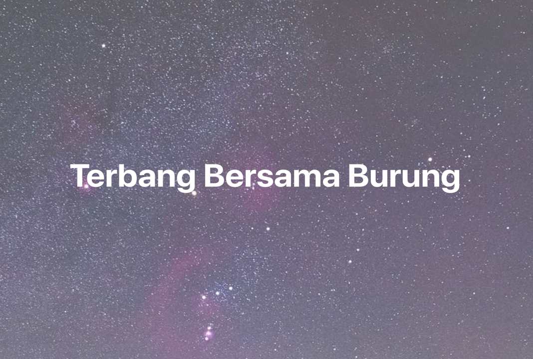 Gambar Mimpi Terbang Bersama Burung