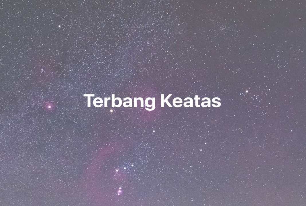 Gambar Mimpi Terbang Keatas