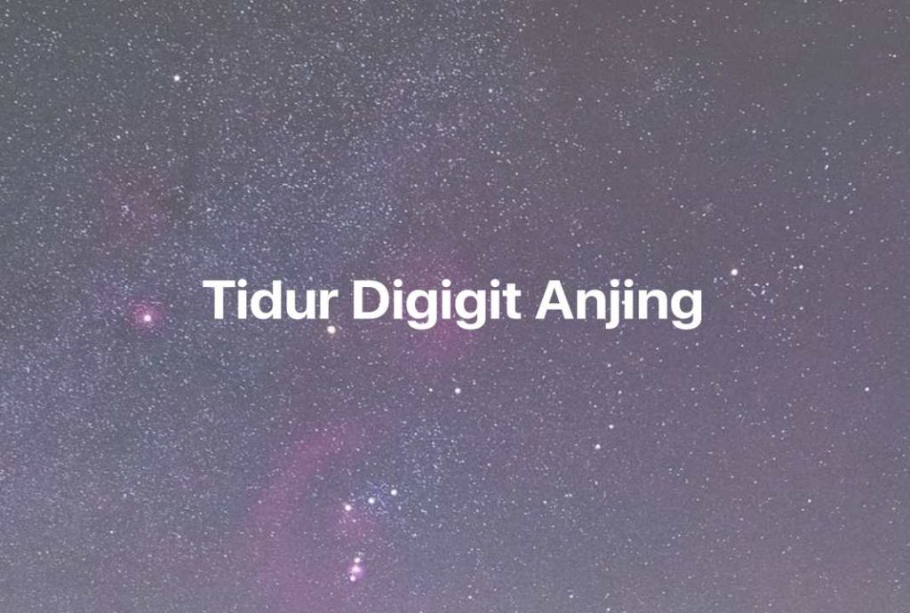 Gambar Mimpi Tidur Digigit Anjing