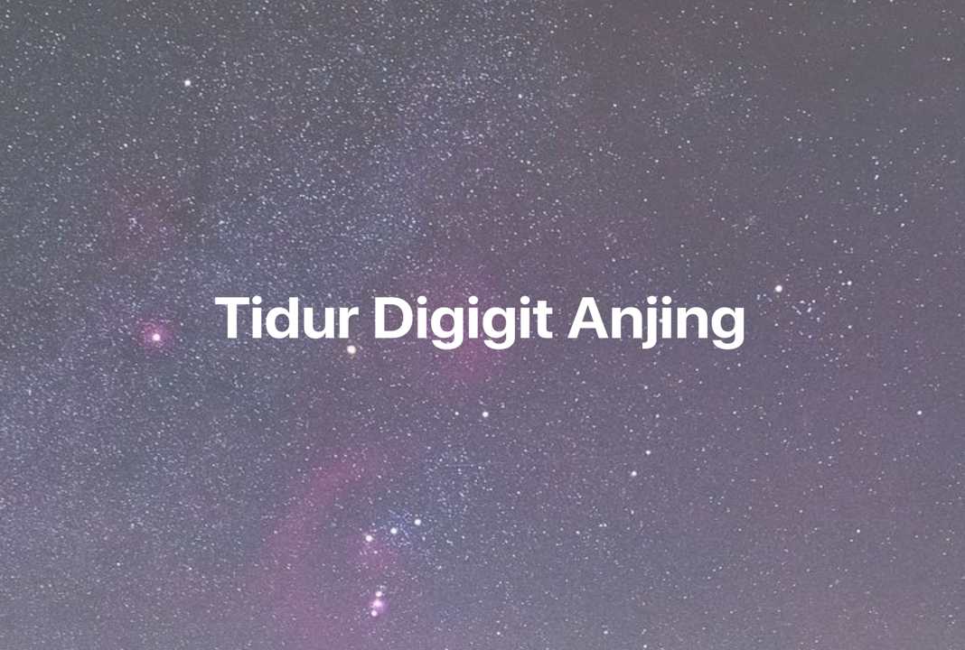 Gambar Mimpi Tidur Digigit Anjing