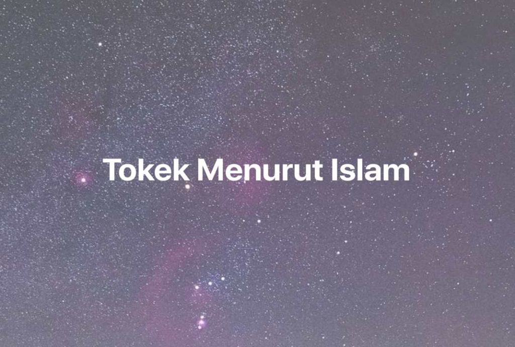 Gambar Mimpi Tokek Menurut Islam