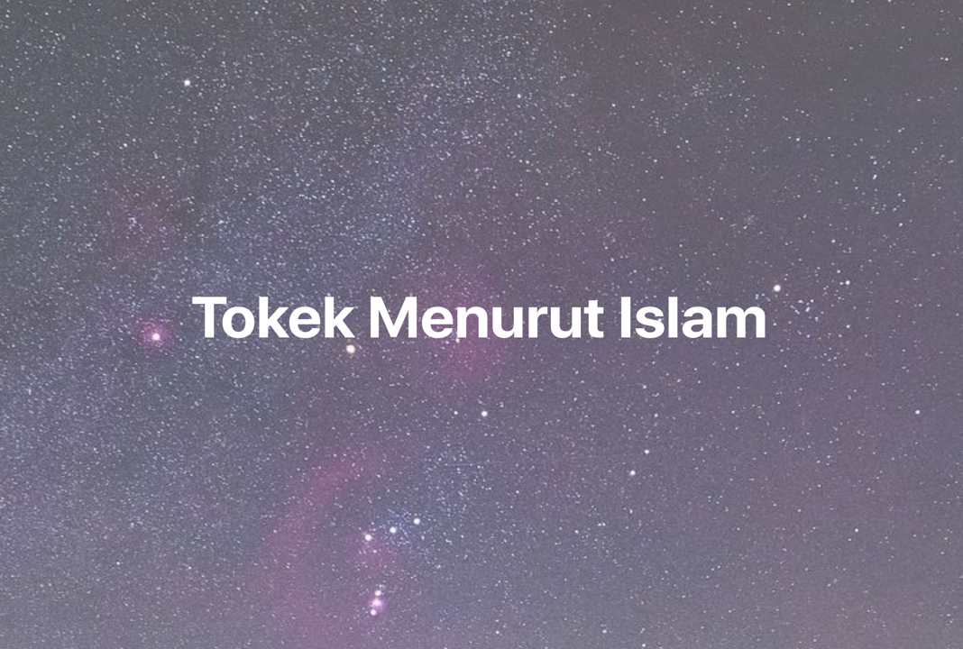 Gambar Mimpi Tokek Menurut Islam