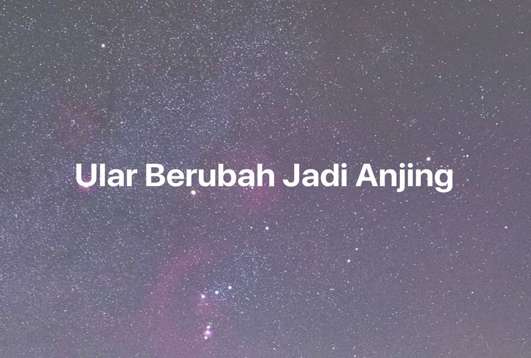 Gambar Mimpi Ular Berubah Jadi Anjing