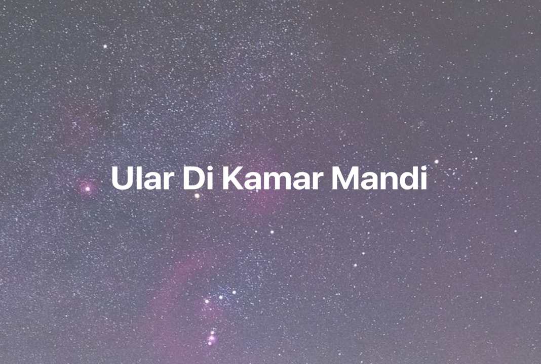 Gambar Mimpi Ular Di Kamar Mandi