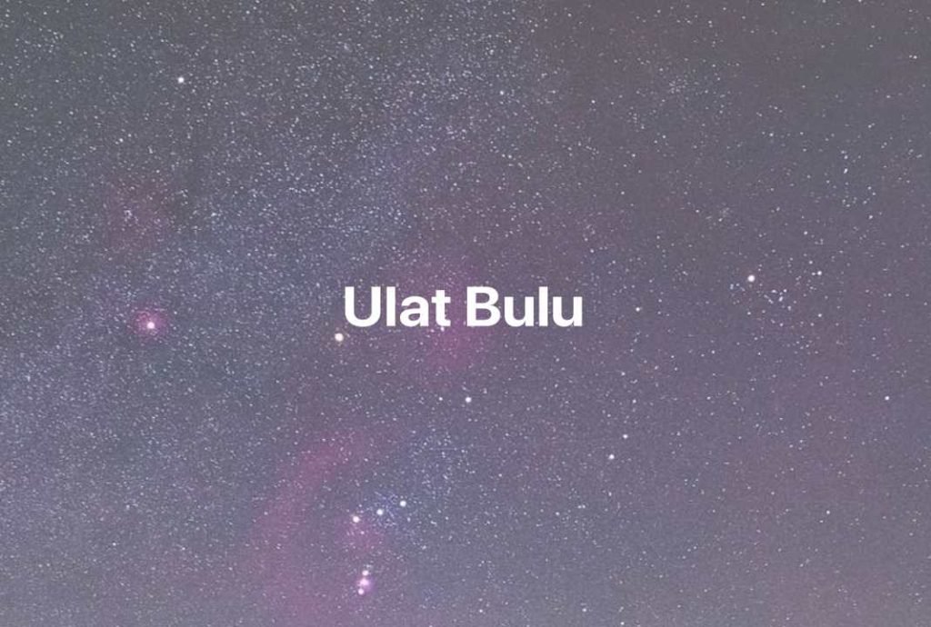 Gambar Mimpi Ulat Bulu