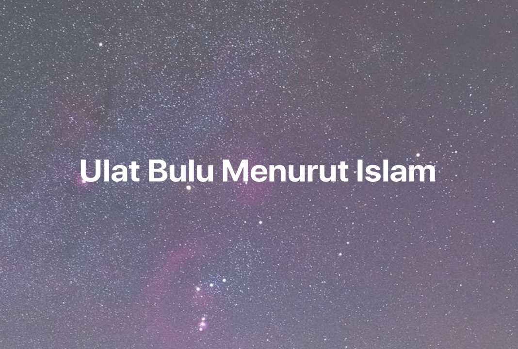 Gambar Mimpi Ulat Bulu Menurut Islam