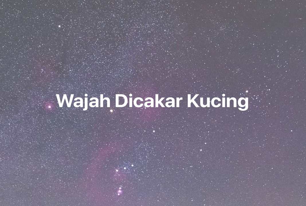 Gambar Mimpi Wajah Dicakar Kucing