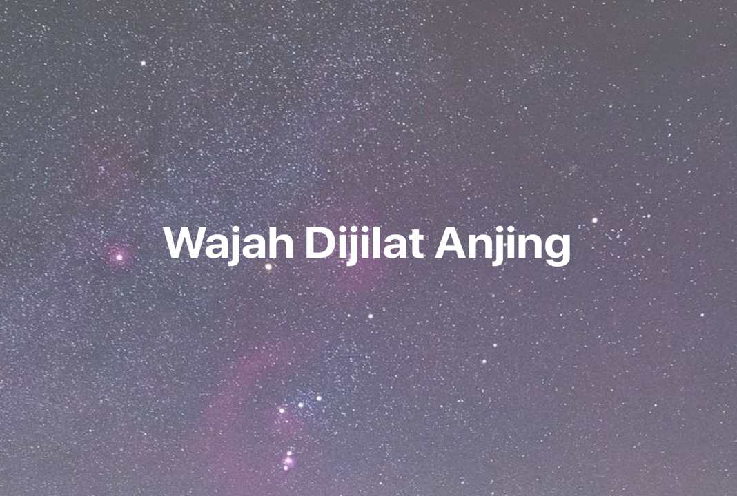 Gambar Mimpi Wajah Dijilat Anjing