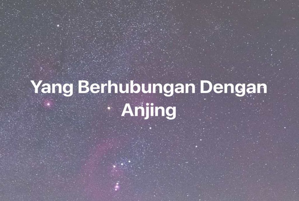 Gambar Mimpi Yang Berhubungan Dengan Anjing