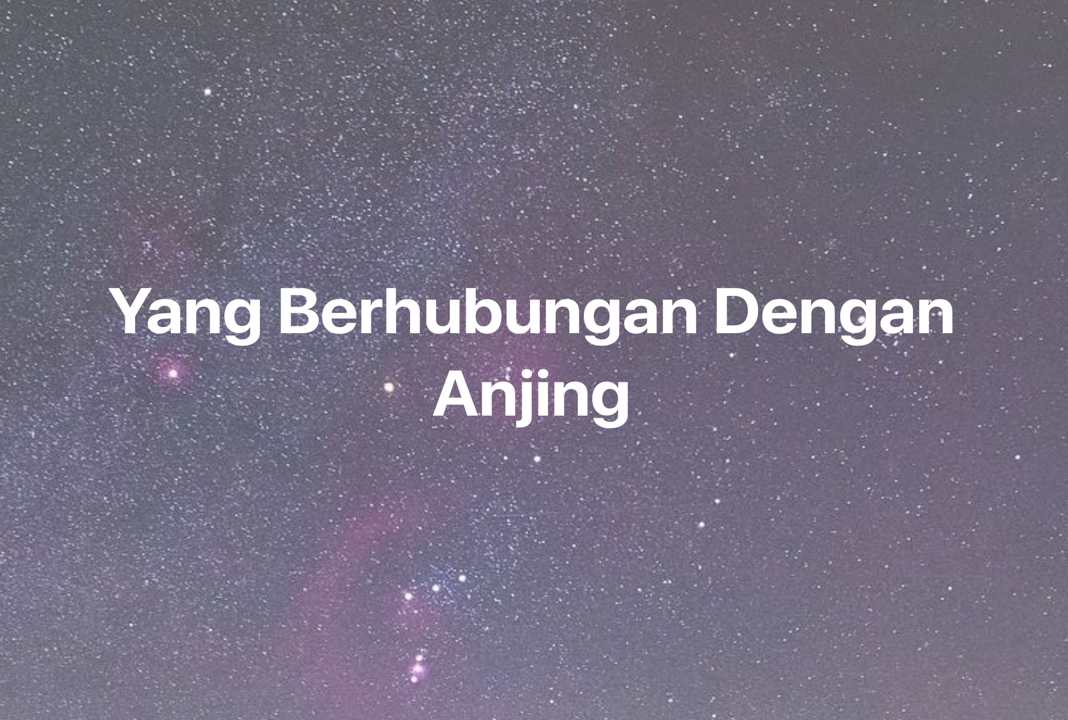 Gambar Mimpi Yang Berhubungan Dengan Anjing