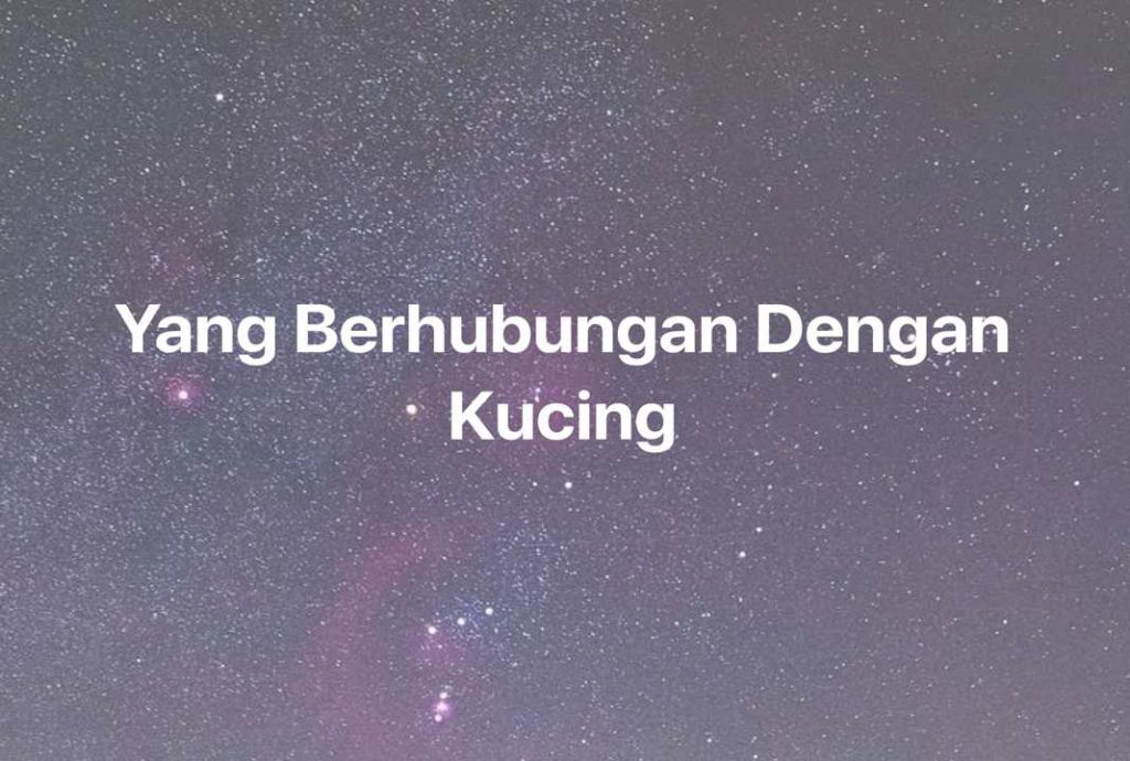 Gambar Mimpi Yang Berhubungan Dengan Kucing