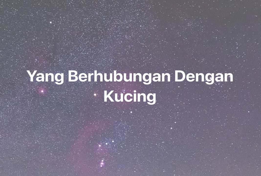 Gambar Mimpi Yang Berhubungan Dengan Kucing